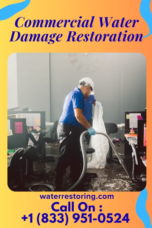 Commercial Water Damage Restoration in Burnham, IL