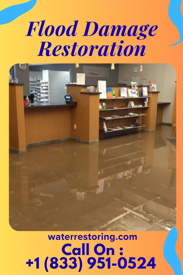 Flood Damage Restoration in Burnham, IL