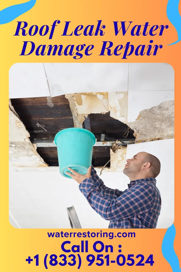 Roof Leak Water Damage Repair in Burnham, IL