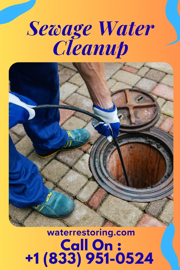 Sewage Water Cleanup in Burnham, IL