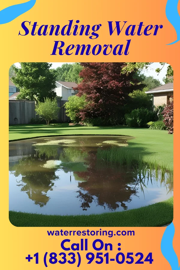 Standing Water Removal in Burnham, IL